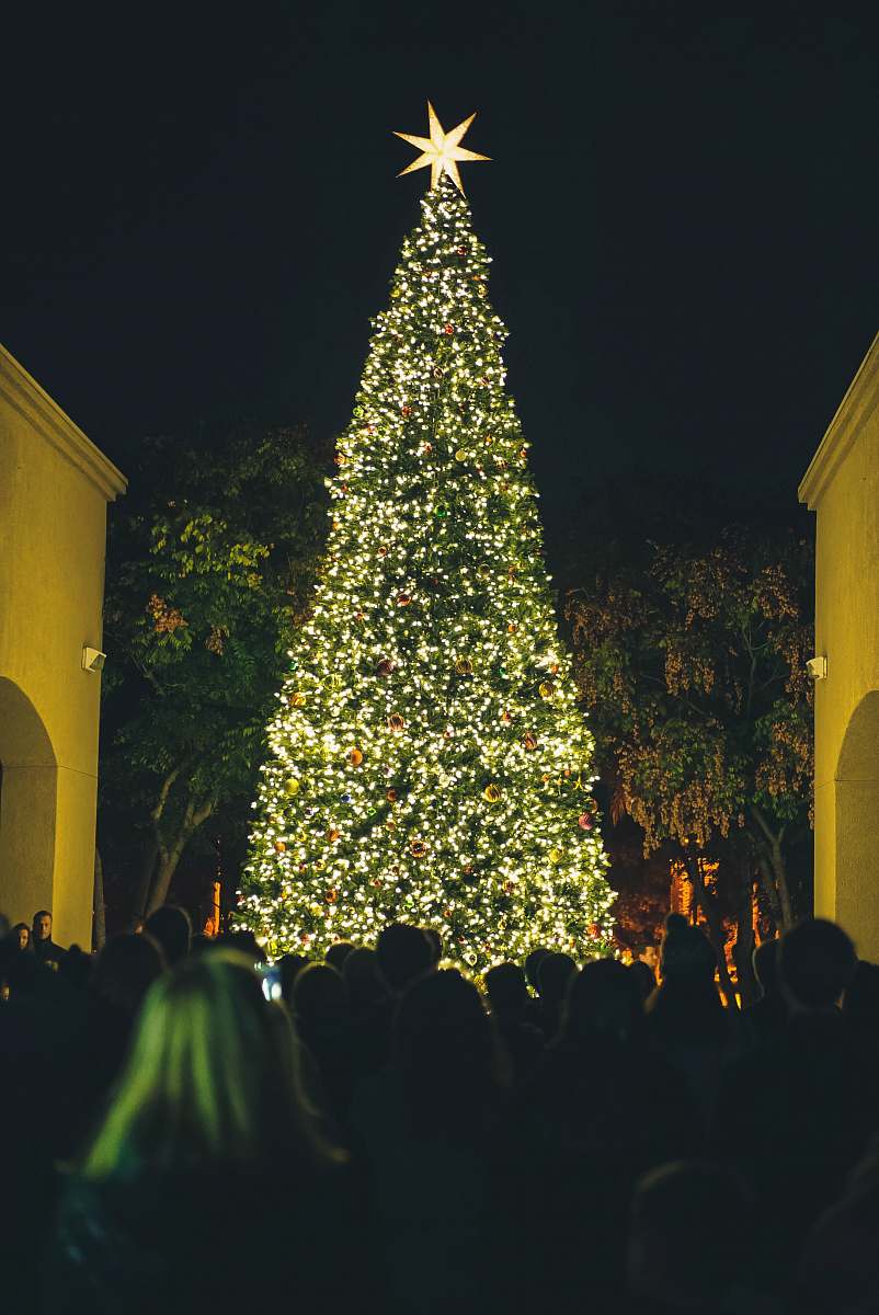 horizon christian fellowship people watching lighted green Christmas tree at nighttime rancho santa fe